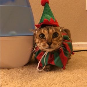 Meet your Posher, Grace